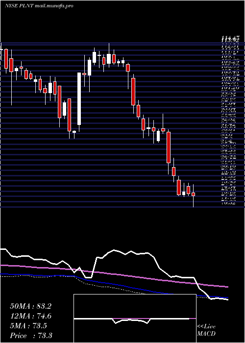  weekly chart PlanetFitness