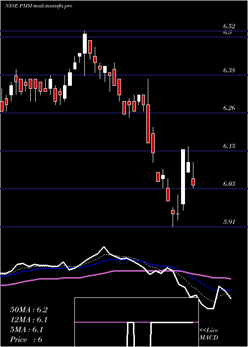 Daily chart PutnamManaged