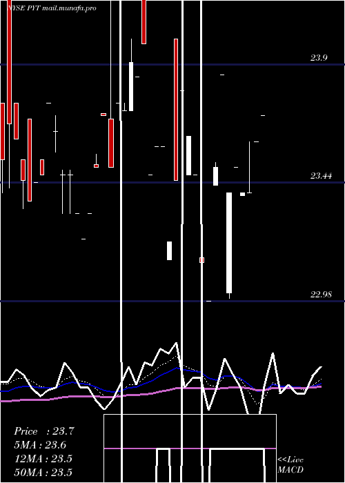  Daily chart PplusTrust