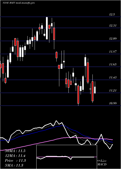  Daily chart RoyceMicro
