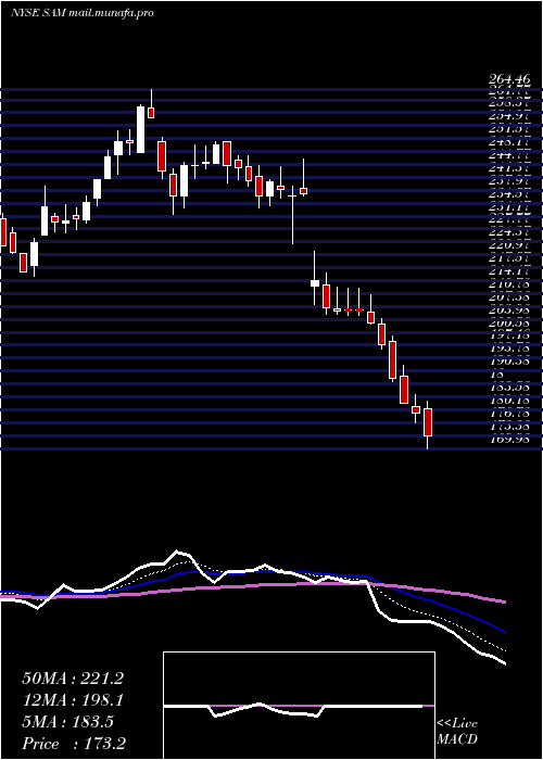  Daily chart BostonBeer