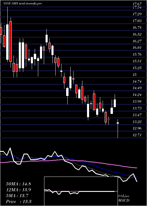 Daily chart SallyBeauty
