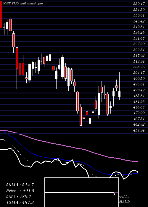  Daily chart ThermoFisher