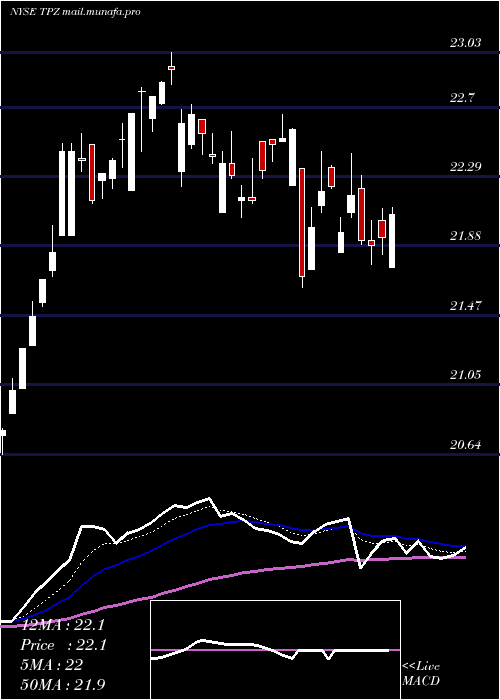  Daily chart TortoisePower