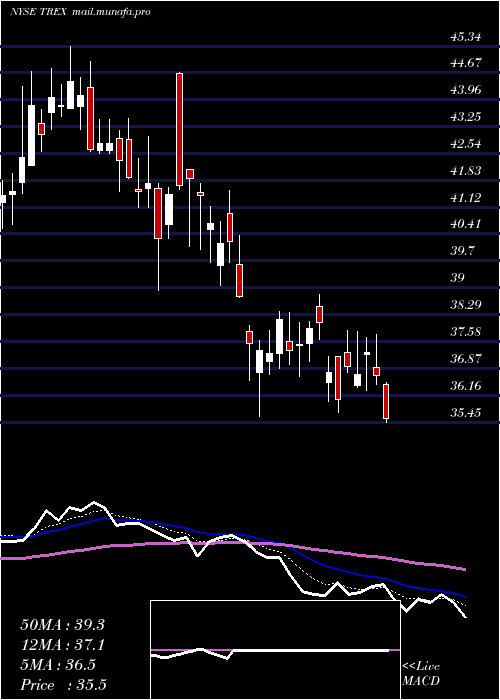  Daily chart TrexCompany