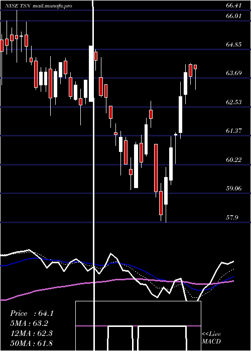  Daily chart TysonFoods