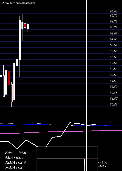 monthly chart TysonFoods