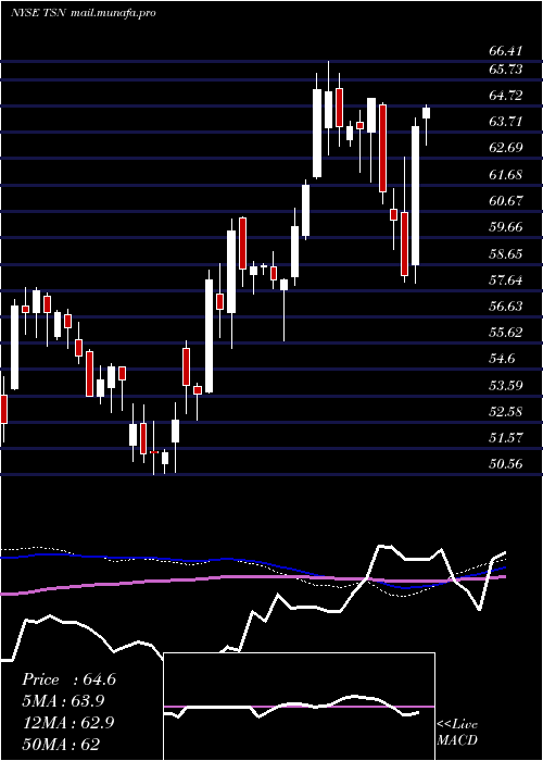  weekly chart TysonFoods