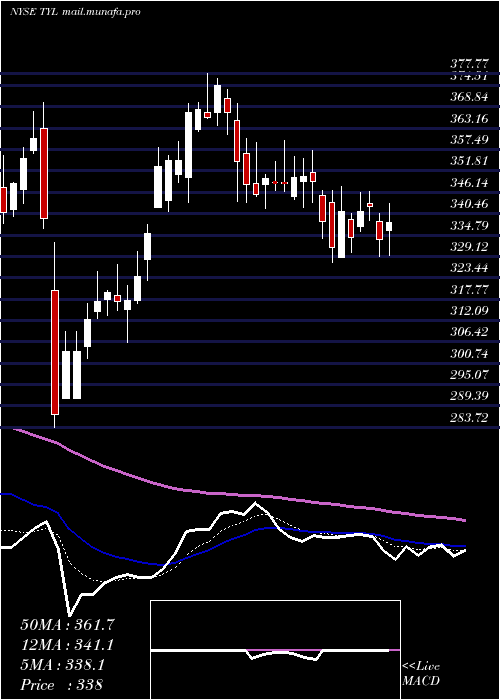  Daily chart TylerTechnologies