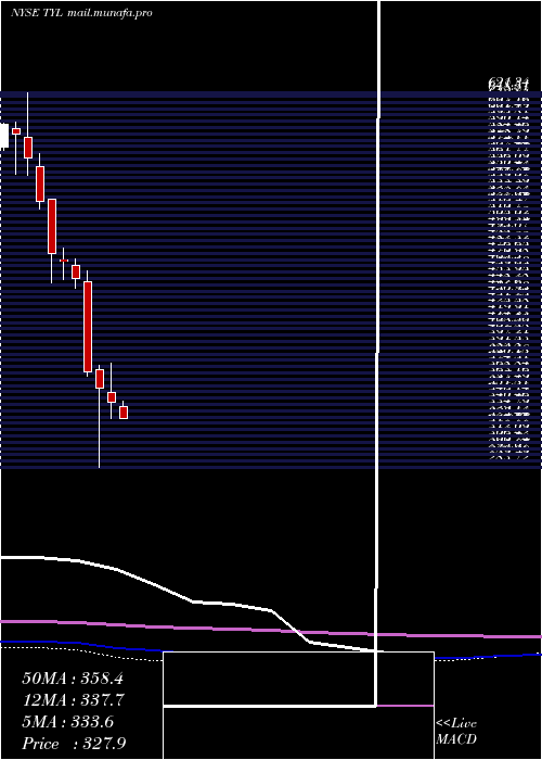  monthly chart TylerTechnologies