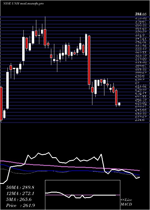  weekly chart UnitedhealthGroup