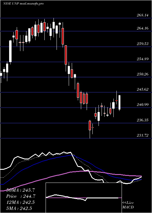  Daily chart UnionPacific