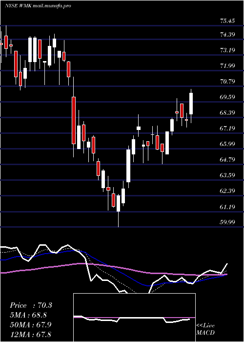  Daily chart WeisMarkets