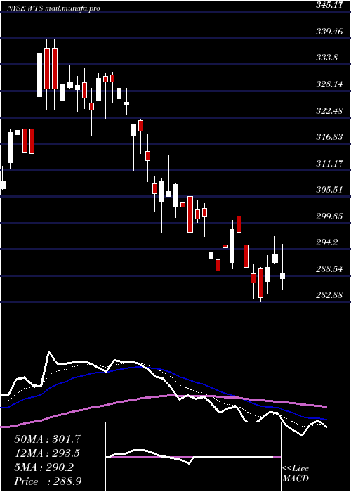  Daily chart WattsWater