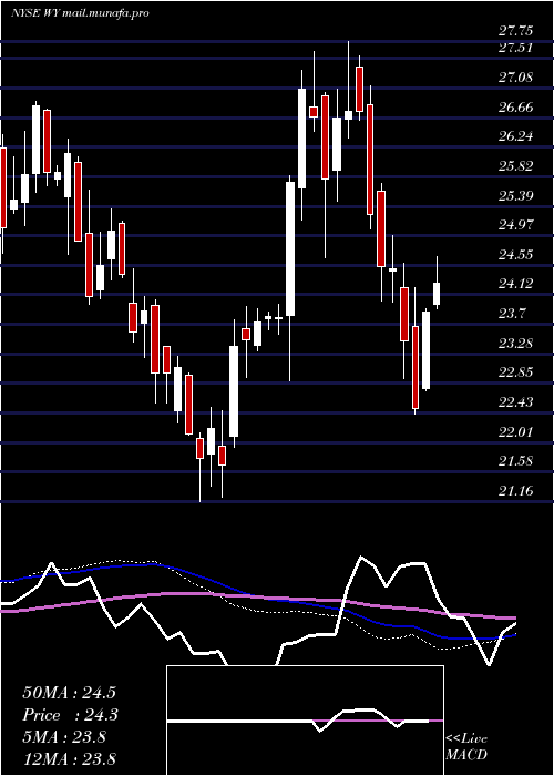  weekly chart WeyerhaeuserCompany