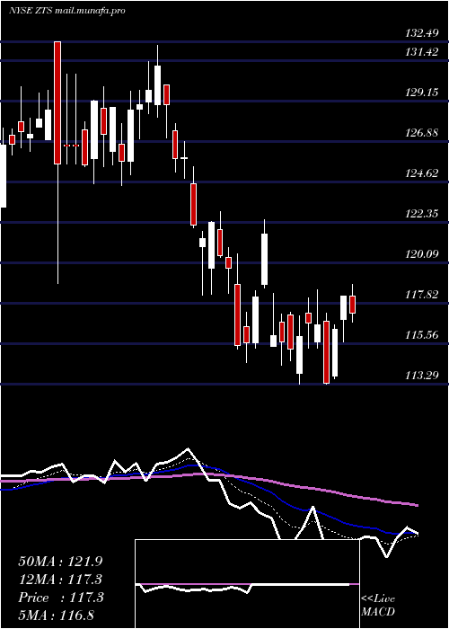  Daily chart ZoetisInc