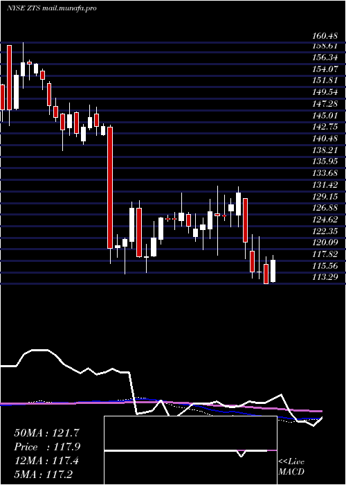  weekly chart ZoetisInc