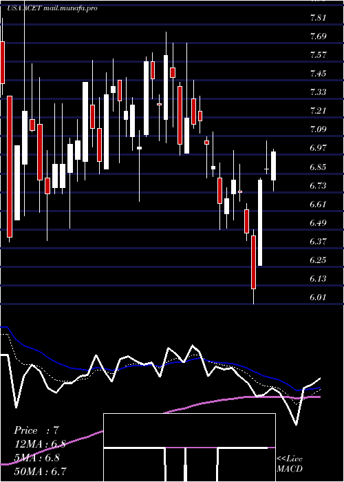  Daily chart AcetoCorporation