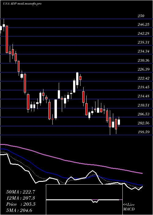  Daily chart AutomaticData