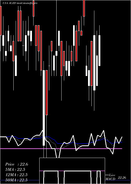  Daily chart WisdomtreeInterest