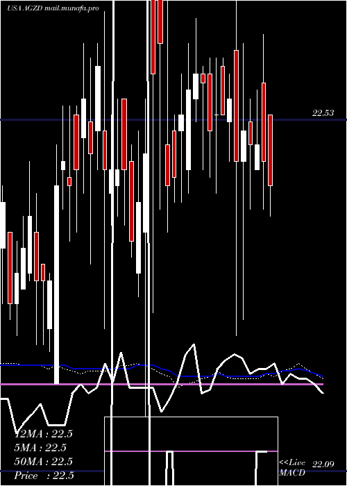  weekly chart WisdomtreeInterest