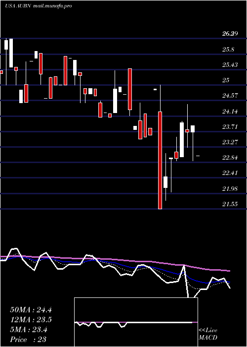  Daily chart AuburnNational