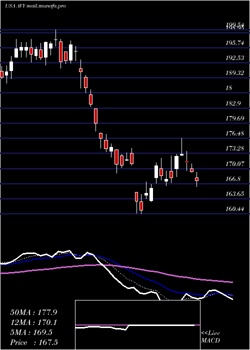  Daily chart AveryDennison