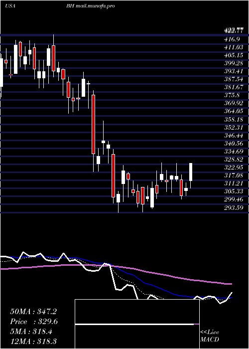  Daily chart BiglariHoldings