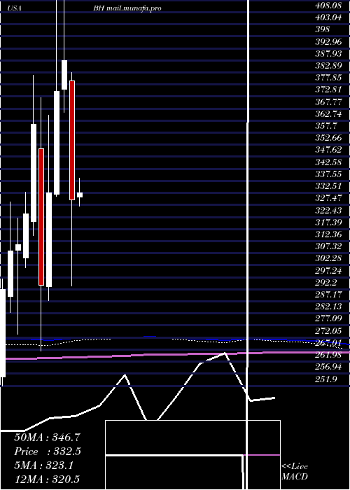  monthly chart BiglariHoldings