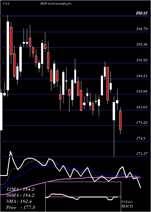  Daily chart BiogenInc