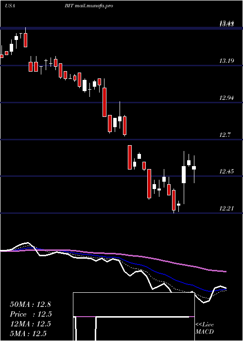  Daily chart BlackrockMulti
