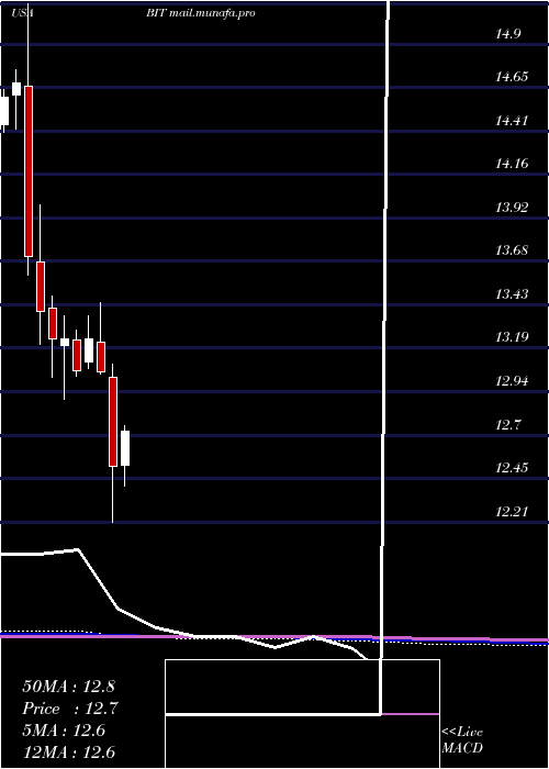  monthly chart BlackrockMulti