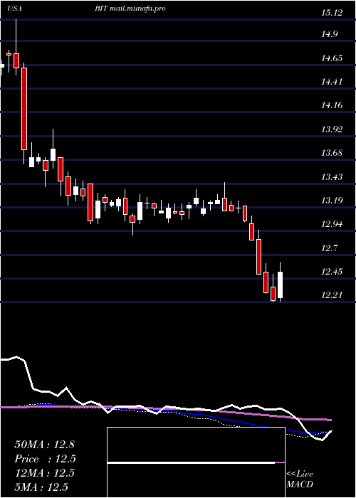  weekly chart BlackrockMulti