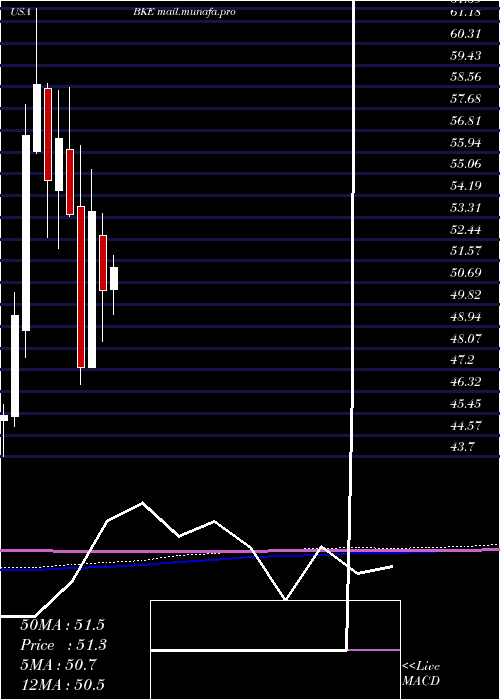  monthly chart BuckleInc