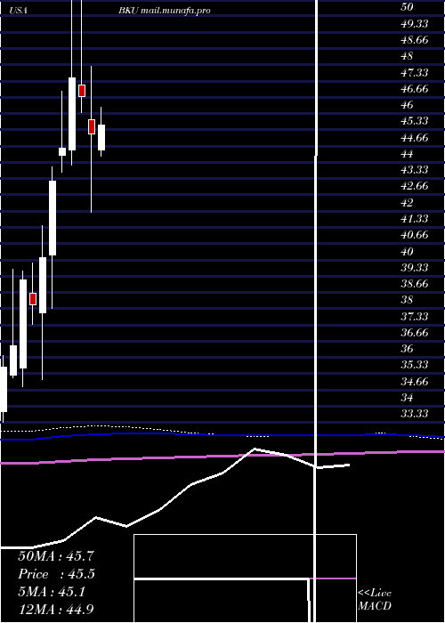  monthly chart BankunitedInc