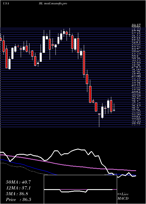  weekly chart BlacklineInc