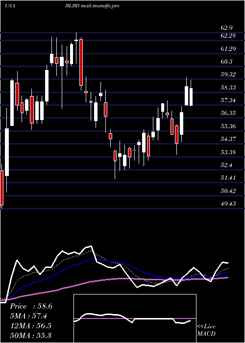  Daily chart BlueBird