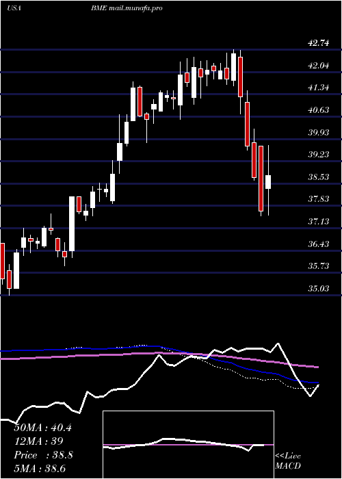  weekly chart BlackrockHealth