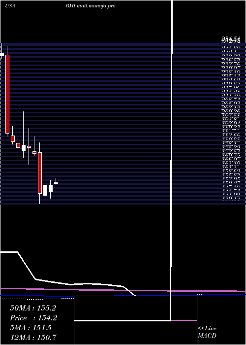  monthly chart BadgerMeter