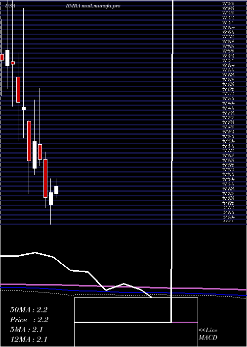  monthly chart BiomericaInc