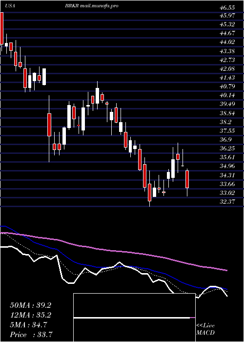  Daily chart BrukerCorporation