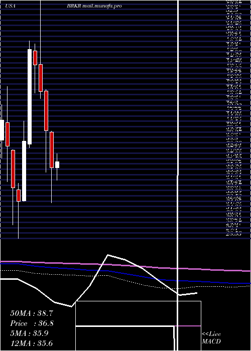  monthly chart BrukerCorporation