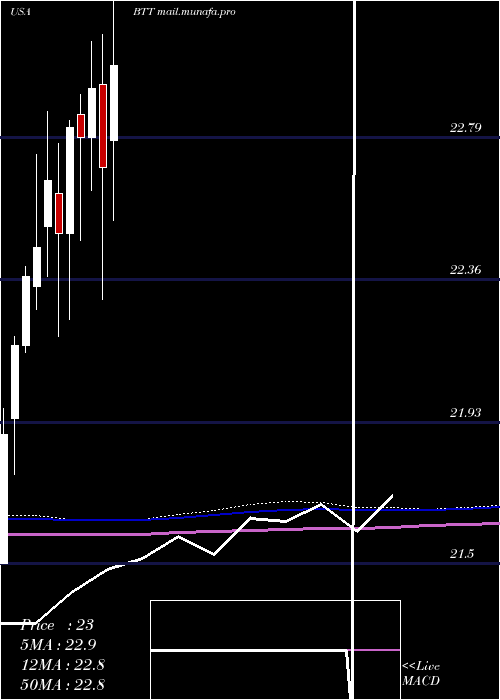  monthly chart BlackrockMunicipal