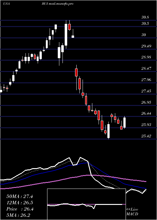  Daily chart BlackrockUtility