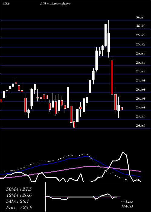  weekly chart BlackrockUtility
