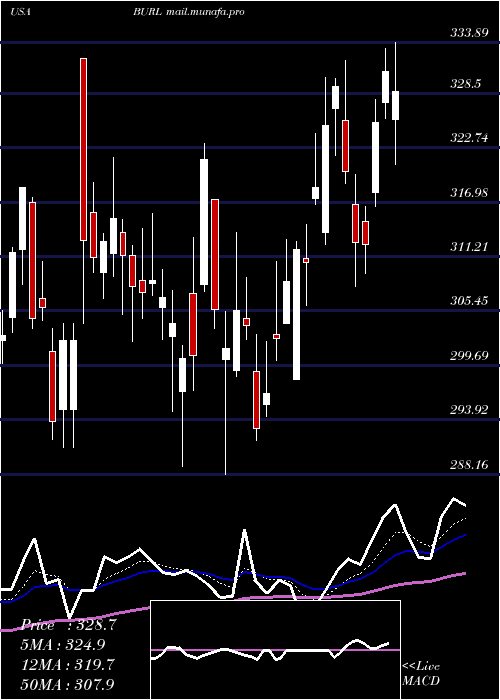  Daily chart BurlingtonStores