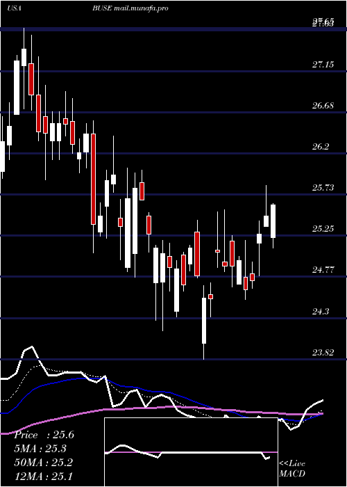 Daily chart FirstBusey