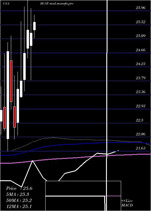  monthly chart FirstBusey