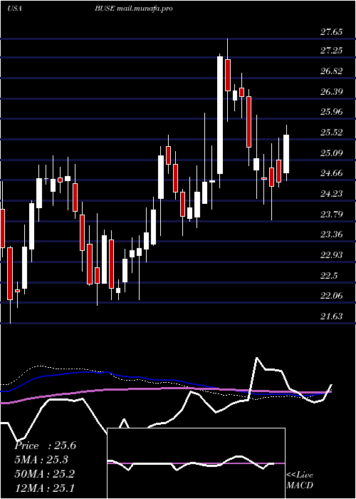  weekly chart FirstBusey