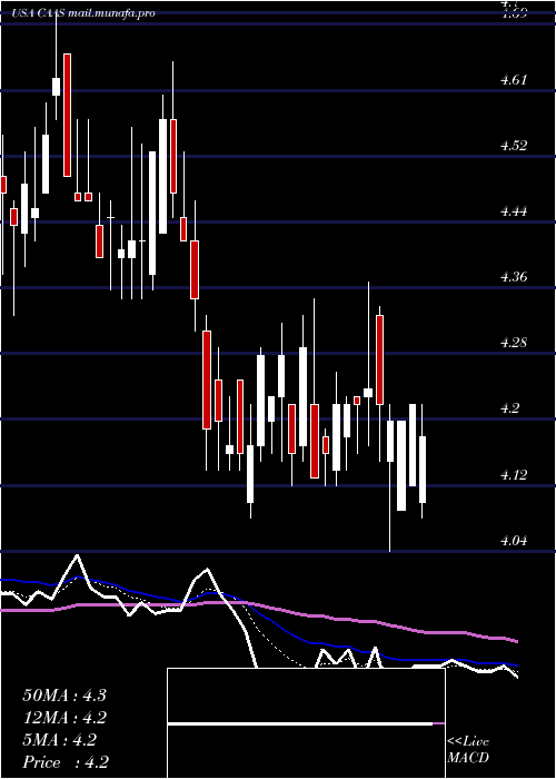  Daily chart ChinaAutomotive